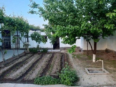 Ташкентская область, Аккурган