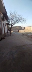 Кашкадарьинская область, Карши