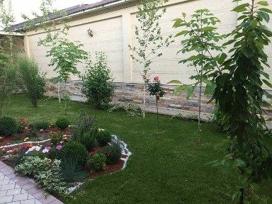 Ташкентская область, Ташкент, Мирабадский район