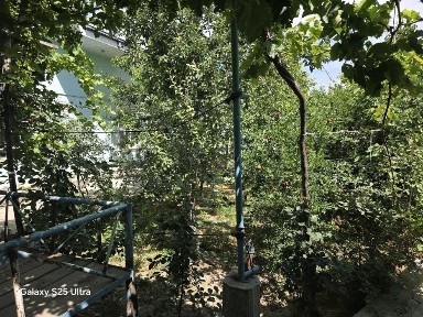 Навоийская область, Навои