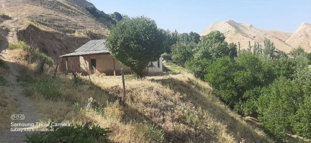 Oltinsoy tuman Sohibkor mahallasida 3 x dalahovli sotiladi kadastr bor