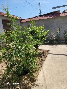 Ташкентская область, Чирчик