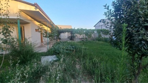 Ташкентская область, Ташкент, Яшнабадский район