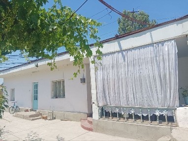 Ташкентская область, Янгибазар