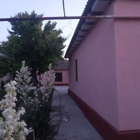 Ташкентская область, Нурафшан (Тойтепа)