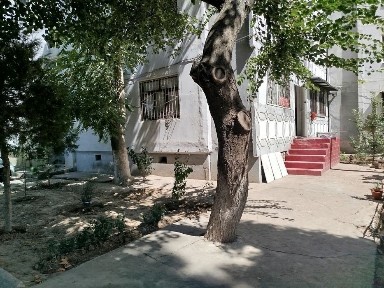 Ташкентская область, Нурафшан (Тойтепа)