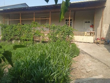 yashash uchun tayyor joy xazorasp tumanida