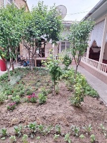 Ташкентская область, Ташкент, Учтепинский район