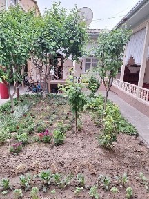 Ташкентская область, Ташкент, Учтепинский район