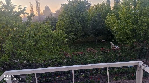 Ташкентская область, Нурафшан (Тойтепа)