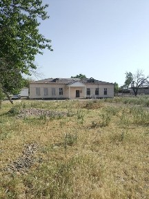 Ташкентская область, Нурафшан (Тойтепа)