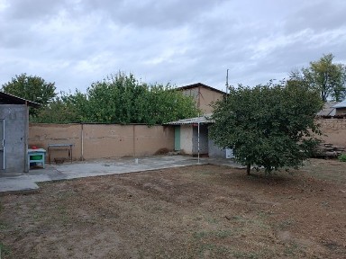 Ташкентская область, Зангиата