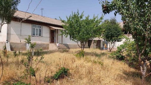 Ташкентская область, Янгибазар