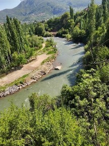 Бус. Тум. ЧАРВАК шахар Беш-тут маххалла 18.10