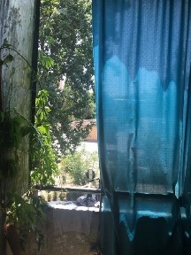 Ташкентская область, Ташкент, Мирзо-Улугбекский район