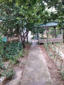 Ташкентская область, Ташкент, Мирзо-Улугбекский район