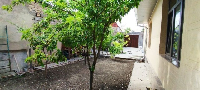 Ташкентская область, Ташкент, Мирабадский район