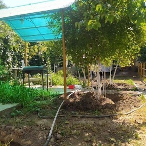 Продажа дома 6 соток Парк Узбекистан Яшнабадский район