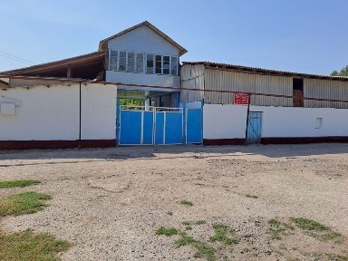 Ташкентская область, Чиназ