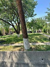 дача сотилади срочно