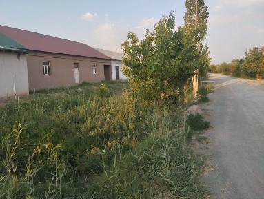 Joy sotiladi Shovot tumani Navroʻz maxallasida