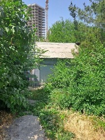 Ташкентская область, Ташкент, Мирзо-Улугбекский район