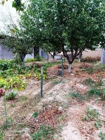 Ташкентская область, Назарбек