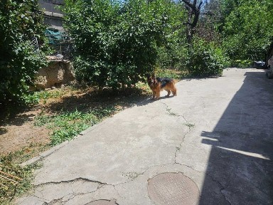 Продаётся участок 7,5 соток в Мирзо-Улугбекском р-не, рядом с Oxb. sch