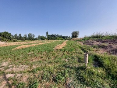 Ташкентская область, Янгиюль