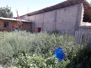 Ташкентская область, Назарбек