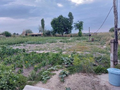 Ташкентская область, Карасу