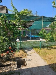 Ташкентская область, Нурафшан (Тойтепа)