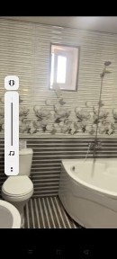 Ташкентская область, Нурафшан (Тойтепа)