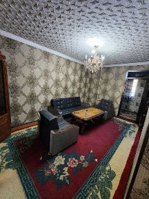 Srocna qizlarga kvartra