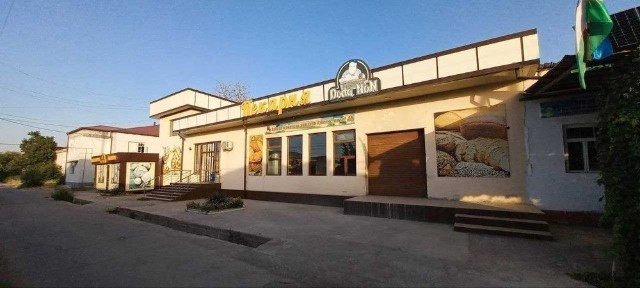 Ташкентская область, Нурафшан (Тойтепа)