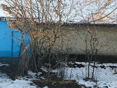 Продается дом в Таваксае. 12 соток земли.