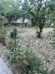 Ташкентская область, Коксарай