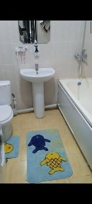 Ташкентская область, Нурафшан (Тойтепа)