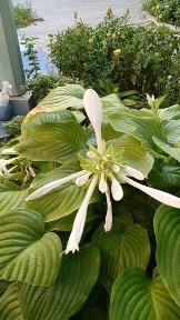 Ташкентская область, Ташкент, Яшнабадский район