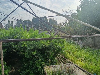 Ташкентская область, Кибрай