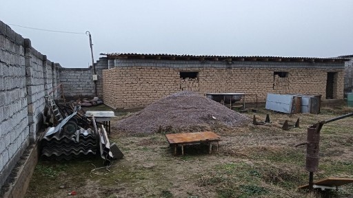 Ташкентская область, Янгибазар