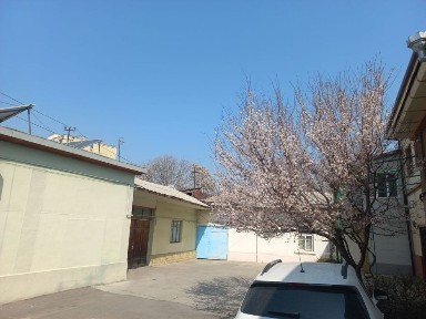 Ташкентская область, Ташкент, Яккасарайский район