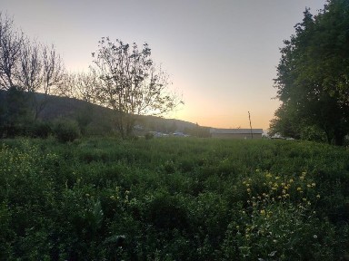 Ташкентская область, Чарвак