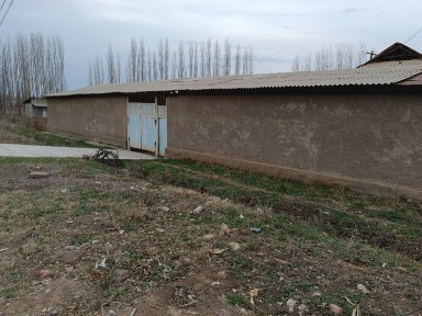 Ташкентская область, Газалкент