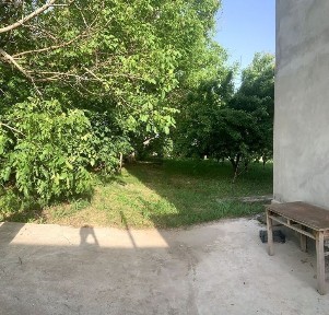 Ташкентская область, Кибрай