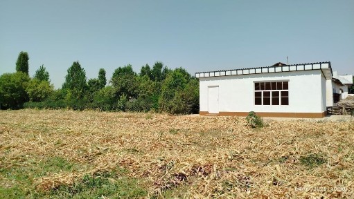 Сурхандарьинская область, Бандихон