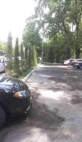 Ташкентская область, Ташкент, Юнусабадский район