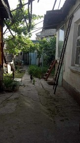 Ташкентская область, Ташкент, Мирабадский район