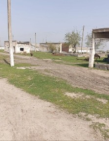 Ташкентская область, Нурафшан (Тойтепа)