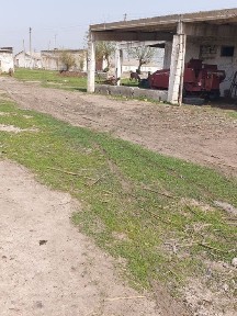 Ташкентская область, Нурафшан (Тойтепа)